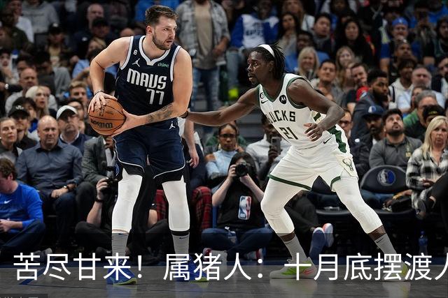 苦尽甘来！属猪人：十月底"摆渡人"悄然降临
