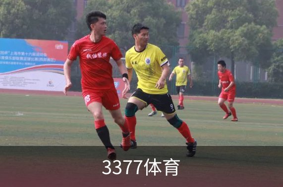 企业简介